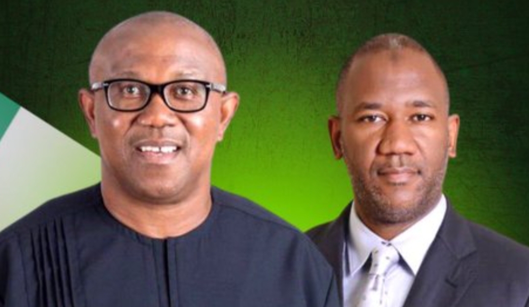 2027: Baba-Ahmed says north unlikely to back Obi, Kwankwaso