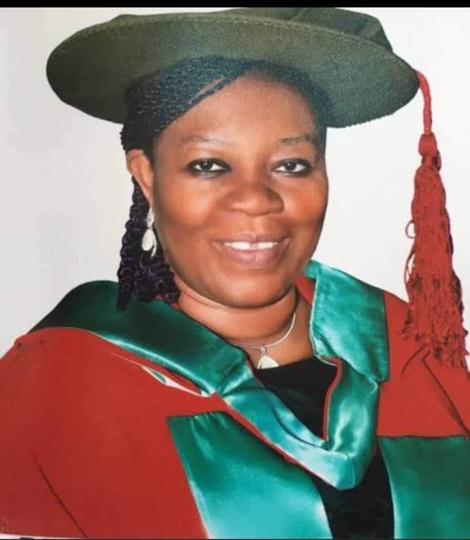 Lemchi’s appointment as Vice-Chancellor was fraudulent —Professors