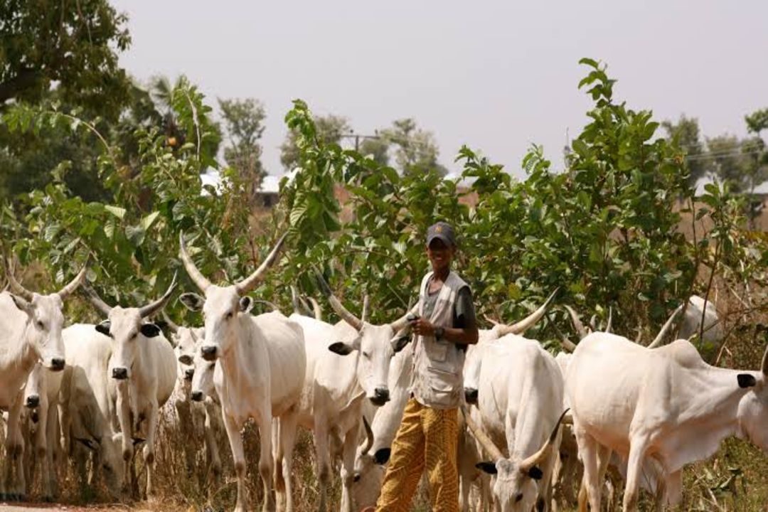 Jackson Must Die! Outrage as apex court upholds death penalty for farmer who killed knife-wielding herder in self-defence