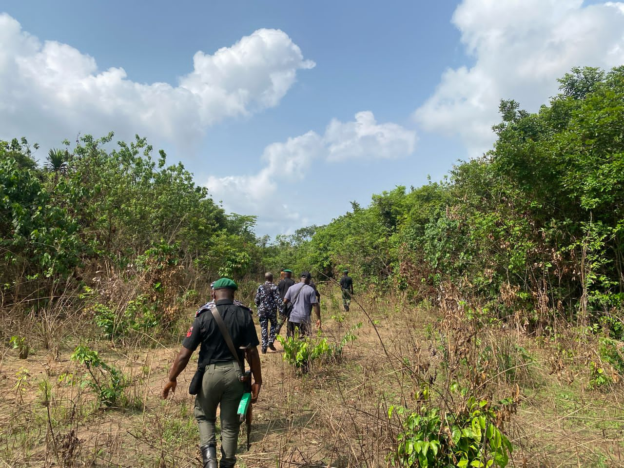 Security operatives comb Imo forest, arrest hoodlums after CrimeFact’s story