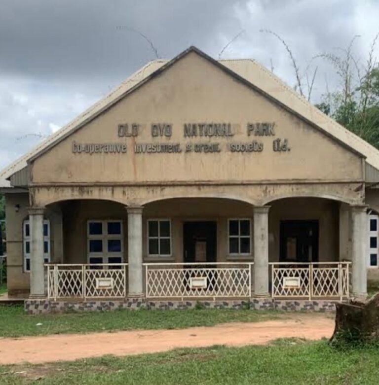 Five’ killed as suspected bandits attack Oyo national park