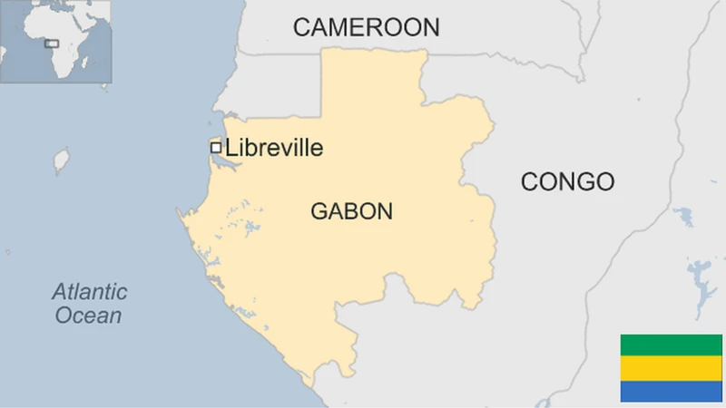 Gabon suspends social media platforms for ‘spreading false information’