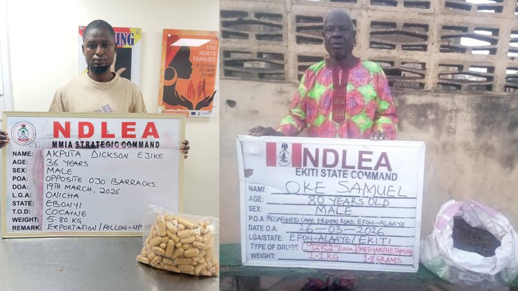 NDLEA seizes cocaine hidden in dry fish, arrests grandpa with meth