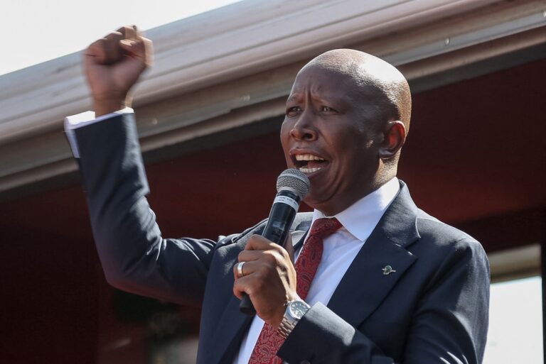 S’African left-wing party leader Malema jailed five years on gun charges