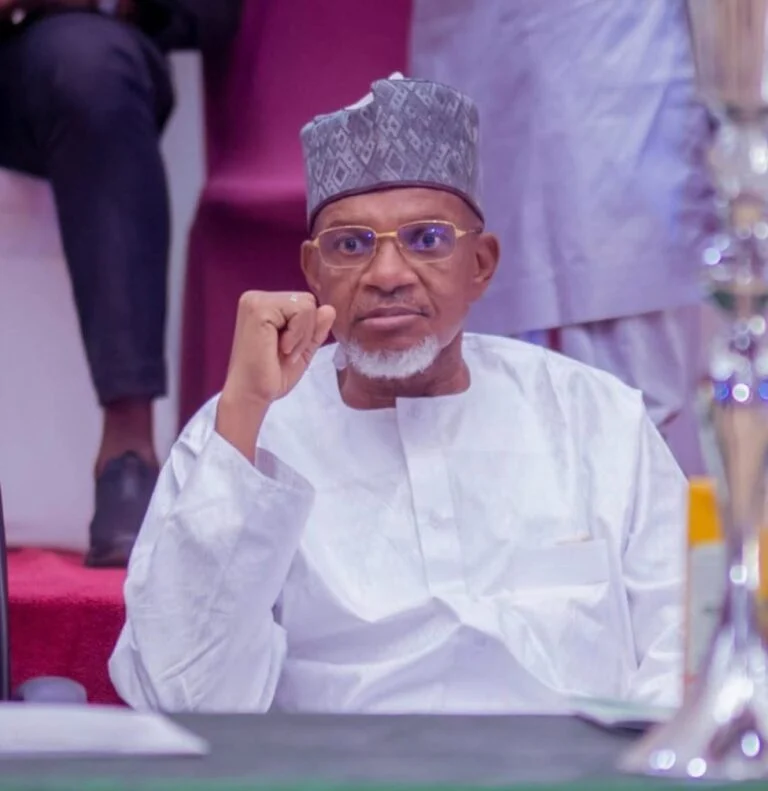 Kebbi assembly speaker dies in Egypt