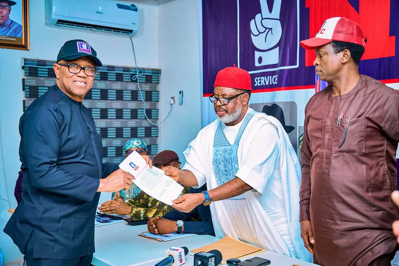 Peter Obi cleared to contest NDC presidential primary