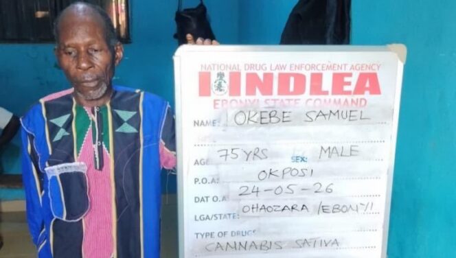 NDLEA uncovers 320,840 tramadol pills in truck, arrests 75-year-old suspect