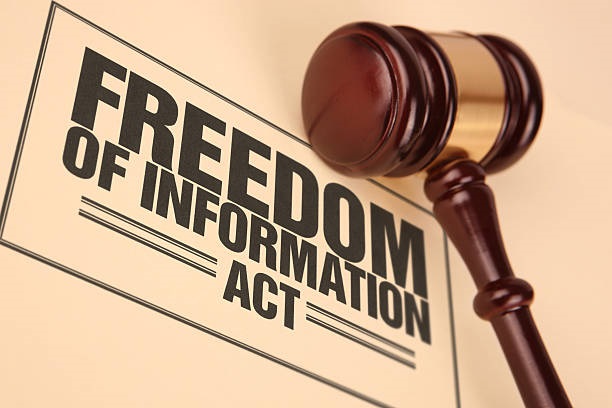 Poor Adoption, Usage Of Nigeria’s FOI Act In South-East Mar Expectations