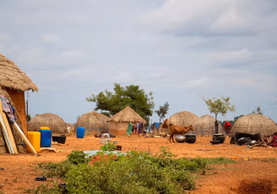 Mother, three children killed as fire razes Fulani settlement in Yobe
