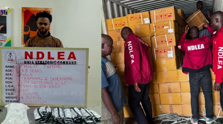 NDLEA intercepts N5bn drugs at ports, arrests Milan-bound businessman